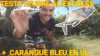 TESTE LEURRE AliExpress + CARANGUE EN UL , PECHE ILE DE LA REUNION
