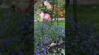 ландшафтный дизайн загородного участка в Казани,  тел.+79270343400