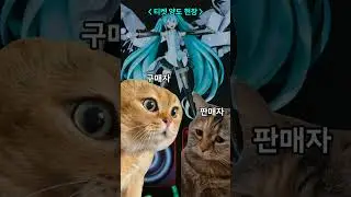 마지미라 티켓 거래 현장