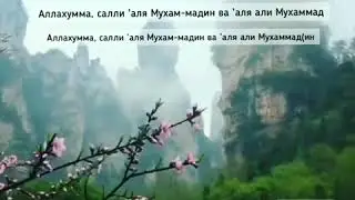 Салават Пророку Мухаммаду (ﷺ) 📿🕋