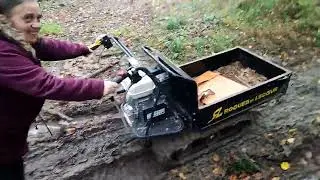 Je compare les brouette est un peu de scie circulaire thermique #forestmen #bucheron #forestier
