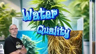 Why Water Quality Matters #marshydro #ts1000 #fce3000 #vg80