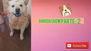 Banho Da Chow parte : 2