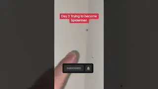 Day 3 Trying To Become Spiderman 🕷️