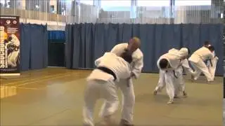 JFAUK Video Diary: 2014 Shochugeiko Day 2 (Tahci-Waza)