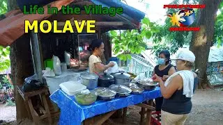 Life in the Village   MOLAVE - Malasag - Cugman - Cagayan de Oro City