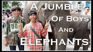 A Jumble Of Mahouts And Their Beasts - Surin Elephant Roundup 2014 Thailand