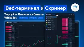Лучший веб-терминал и скринер для трейдинга | Полный обзор функционала