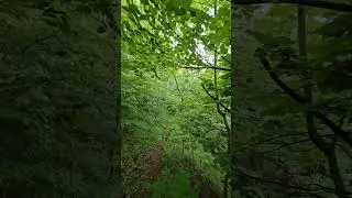 Chechnya ЧР