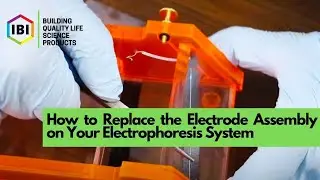 How to Replace the Electrode Assembly on your Horizontal Electrophoresis System | IBI Scientific