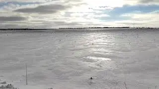 Зима. 11 февраля 2022 г.