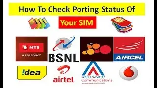 How To Check Your Port Status