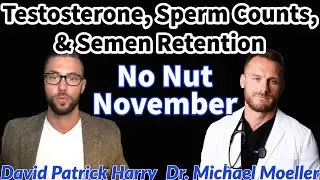 Testosterone, Sperm Counts, & Semen Retention || No Nut November w/ David Patrick Harry COTEL PT.1