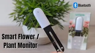 Xiaomi HHCC 4 in 1 Flower Plant Care Smart Monitor Sensor & App Review