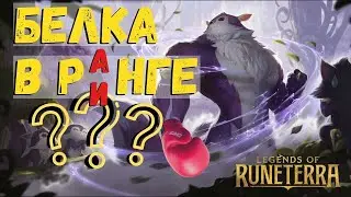 Белка боксёр. Фан или Новая Мета? КОМБОколода. Легенды Рунтерры