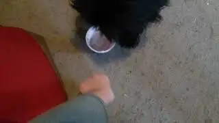 Yougurt