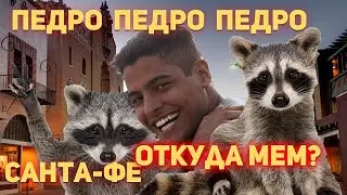 Педро Педро Педро ЕНОТ - Откуда МЕМ?