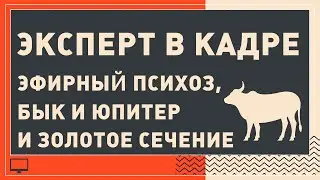 Эксперт в кадре 1.3 / эфирный психоз, бык и Юпитер и золотое сечение
