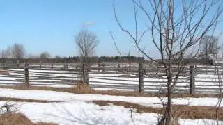 Георгий Свиридов