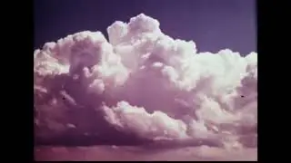 Webb Chapel - Speeding (Music Video)