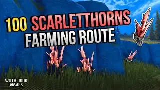 Scarletthorn Farming Route | Farming Route |【Wuthering Waves】