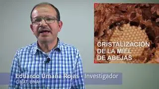 Cristalización de la Miel de Abejas b