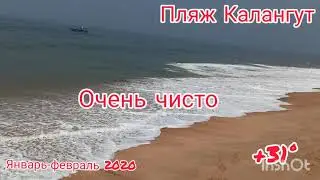 Пляж Калангут ГОА Индия январь-февраль 2020