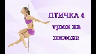 Pole Dance Челлендж - трюк на пилоне Птичка 4