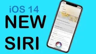 New Siri in iOS 14