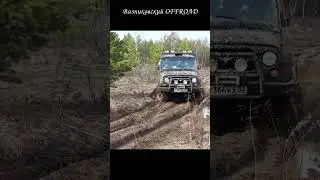 Легковой УАЗ на АТ Гудричах сложно выходит из колеи