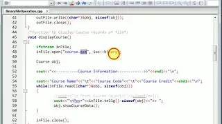 Binary File Read and Write Operation in C++