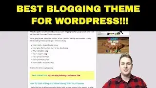 Millionaire Blogger Reveals WordPress Theme!