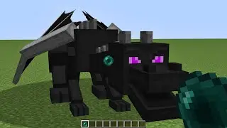 what inside ender dragon?