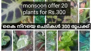 Plants for sale || Green Planet ||
