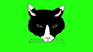 ✔️GREEN SCREEN EFFECTS: angry cat vibe
