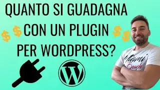 Quanto si guadagna con la vendita di plugin per WordPress?