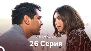 Зимородок 26 Cерия (Русский дубляж)(Длинная Bерсия)