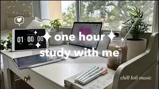 one hour study with me one a rainy day, chill lofi music