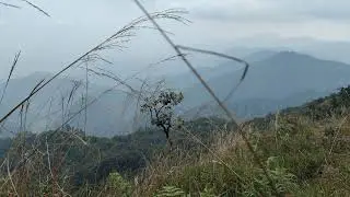 Taking in nature at Doi Ang Khang #thailand