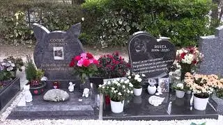 Cimetière des Chiens