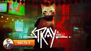 Stray / Часть 3 / Играем и болтаем