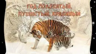 С Новым Годом 2022! Год тигра. Очень красивое музыкальное поздравление для новогоднего настроения!HD