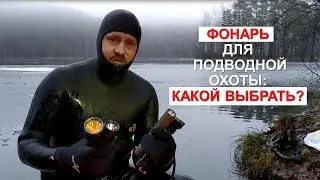 Spearfishing Flashlights: Which is Better?
