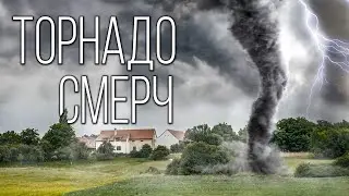 Tornado or clot: Studying the atmospheric vortices of the Earth