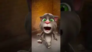 Talking Tom says bunny