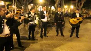 Mariachi Anyone?