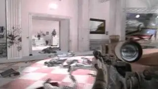 7. Call of Duty Modern Warfare 2 Museum Survival ( WA2000, M14 EBR Silenced, Knife)