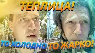Дешёвая теплица! Как охладить теплицу в жару?Температура в теплице!