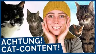 LGBTQ+ Facts: 10 persönliche Fakten über Becci | OKAY