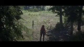 RDO State of Affairs [Red Dead Redemption 2]